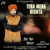 About TERA MERA RISHTA Song